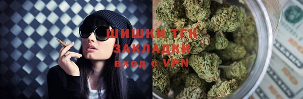 ешки Пересвет