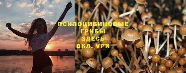 ГАЛЛЮЦИНОГЕННЫЕ ГРИБЫ Алзамай