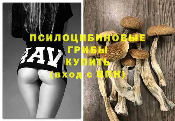 МДПВ Абаза
