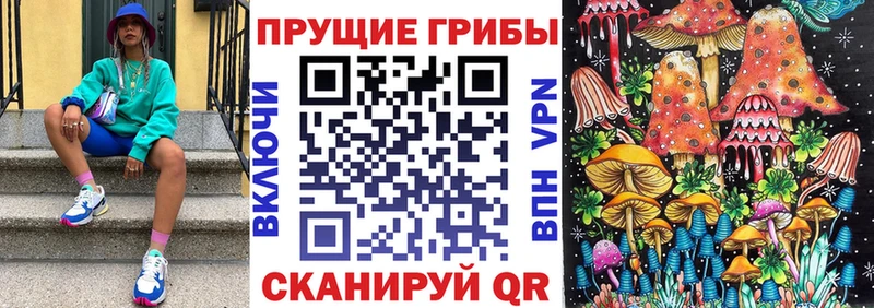 kraken вход  Струнино  Псилоцибиновые грибы GOLDEN TEACHER  как найти наркотики 